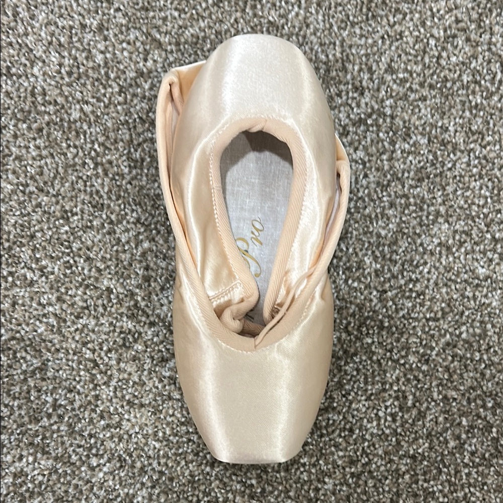 Grishko Pro 2007 Pointe Shoes